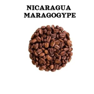 Nicaragua Maragogype-laatukahvi