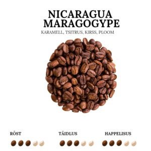 Nicaragua Maragogype-laatukahvi