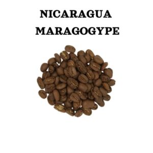 Nicaragua Maragogype-laatukahvi