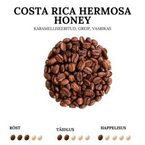 Laadukasta Costa Rican kahvia