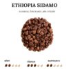 Etiopia Sidamo laatukahvi