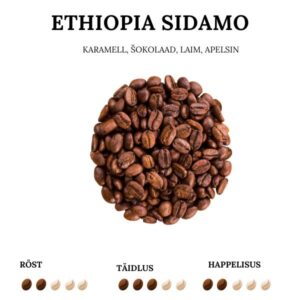 Etiopia Sidamo laatukahvi